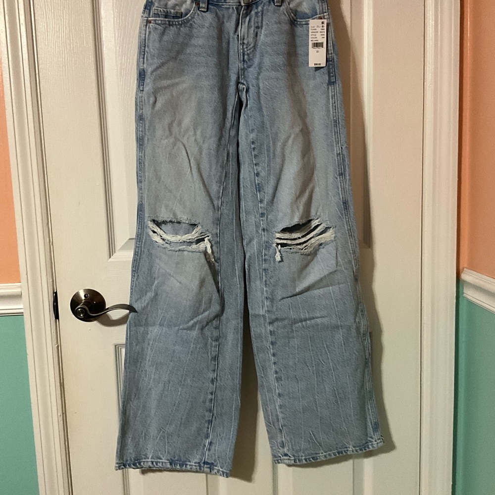Pacsun Low Rise Distressed Light Wash Jeans (size 22)